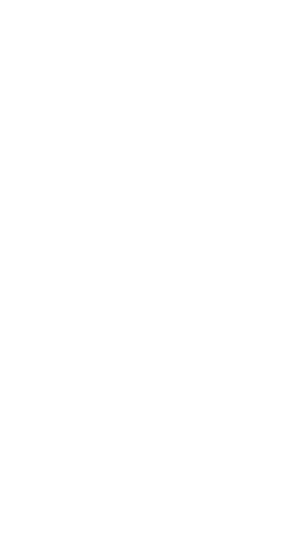 Global Executive